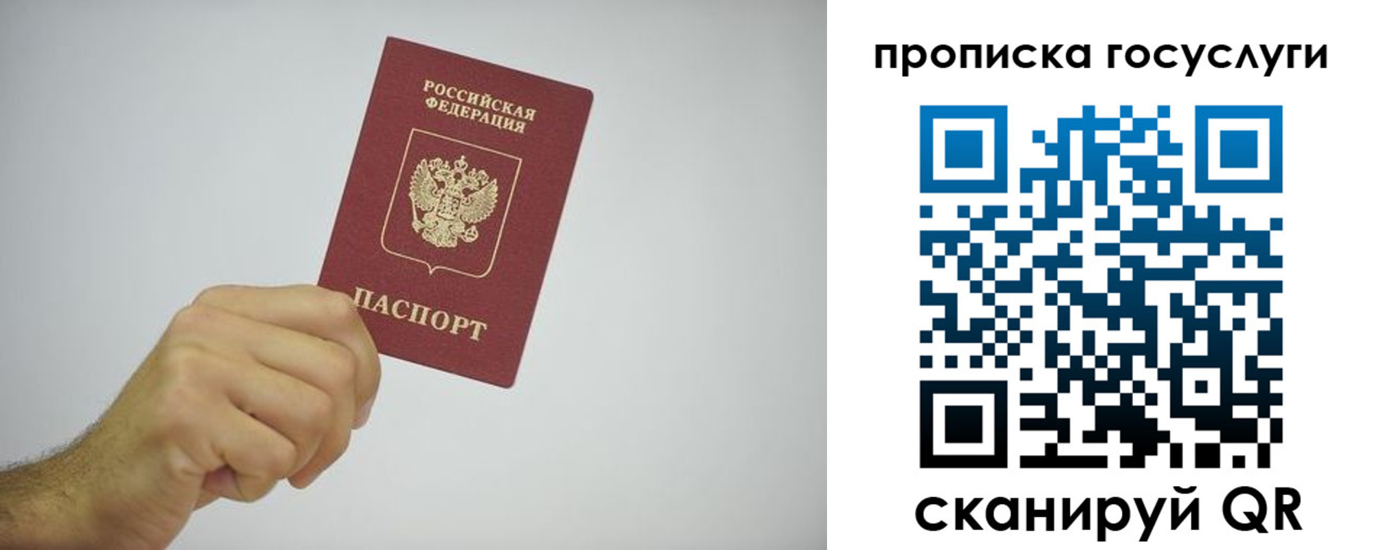 прописка законно в Чистополье